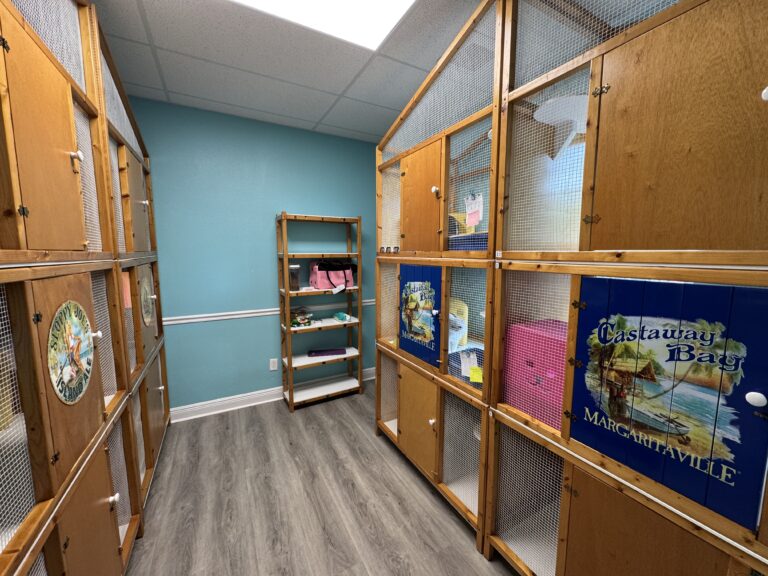 Home Room of cat boarding condos