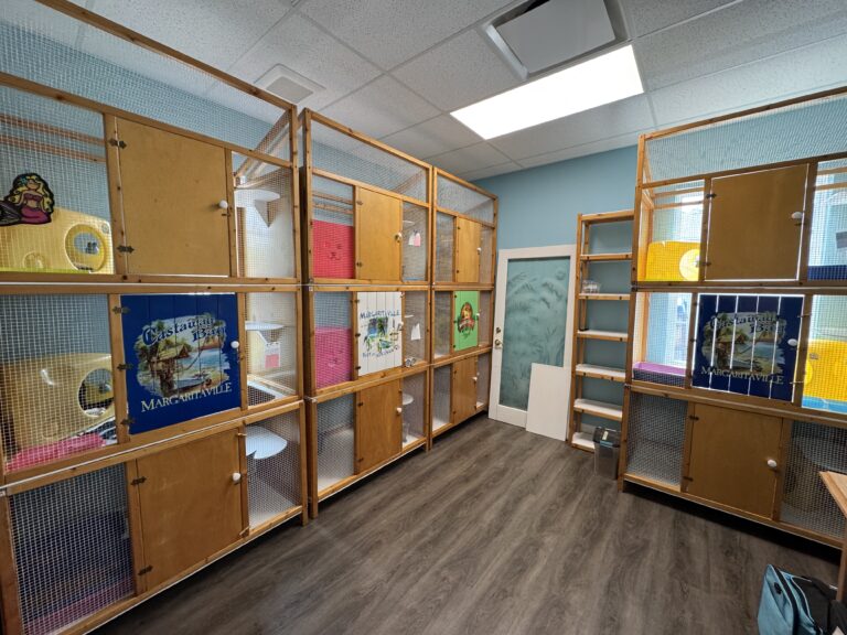 Home Room of cat boarding condos